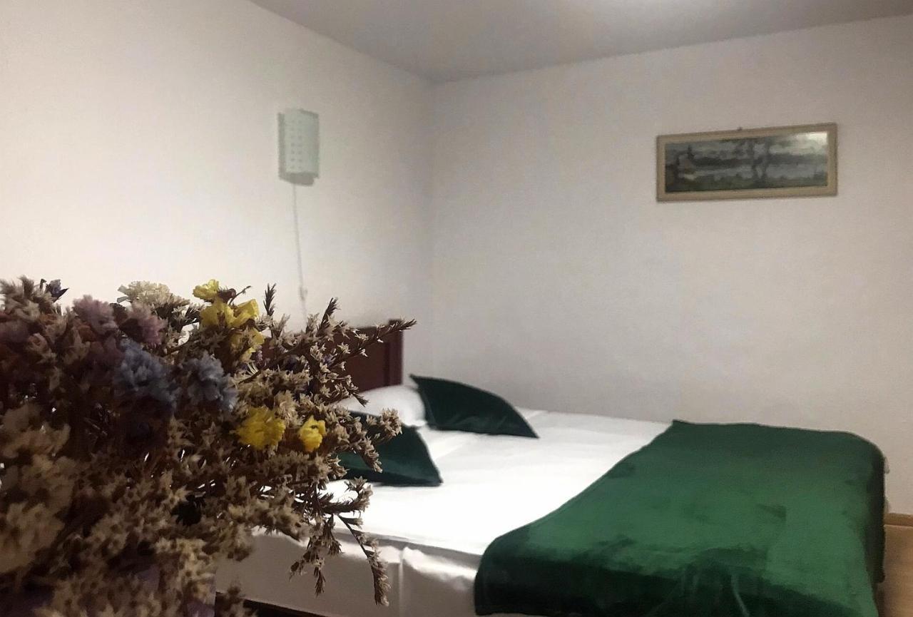 ヴァトラ・ドルネイ Apartament Sarcoヴィラ エクステリア 写真