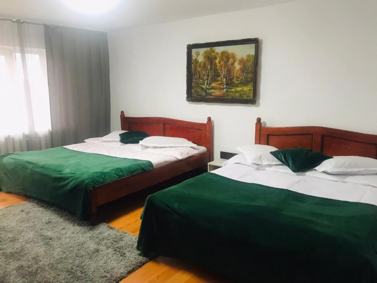 ヴァトラ・ドルネイ Apartament Sarcoヴィラ エクステリア 写真